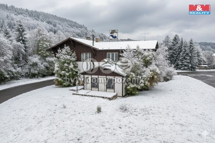 Prodej, Hotel, penzion, Plavy