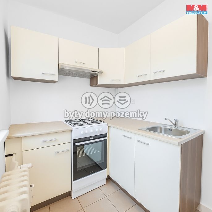 Pronájem, Byt 1+1, Ostrov