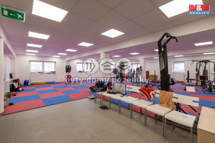 Pronájem, Kancelářský prostor, Louny