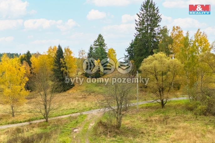 Prodej, Ostatní, Pila