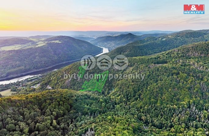 Prodej, Les, Ústí nad Labem