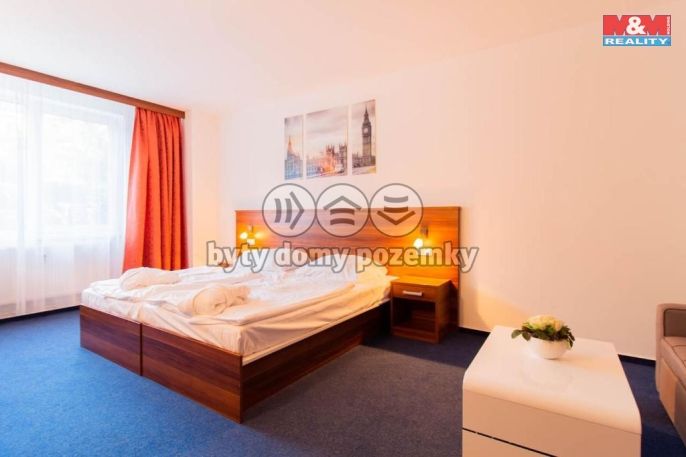 Prodej, Byt 1+1, Frymburk