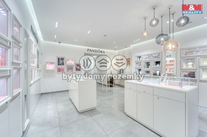 Pronájem, Obchod a služby, Plzeň