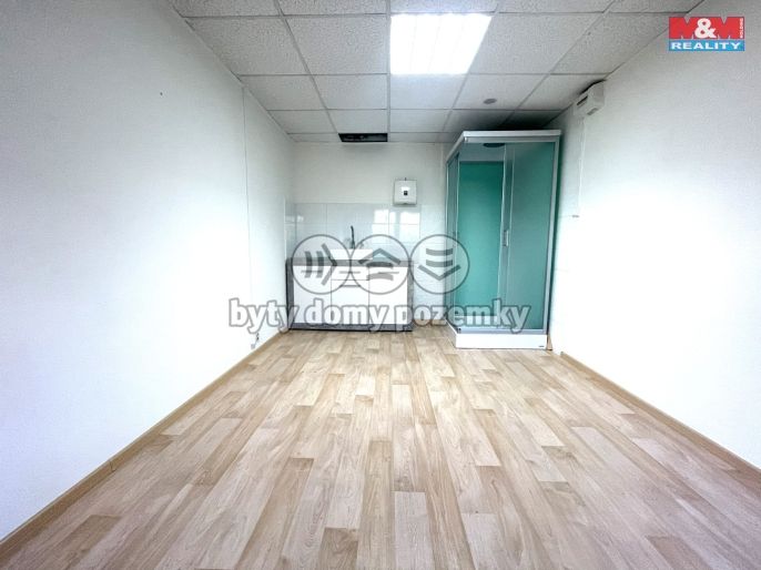 Pronájem, Ostatní, Most