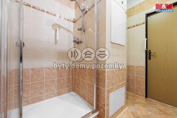 Prodej, Byt 2+1, Cheb