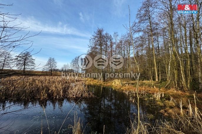 Prodej, Vodní plocha, Velká Losenice