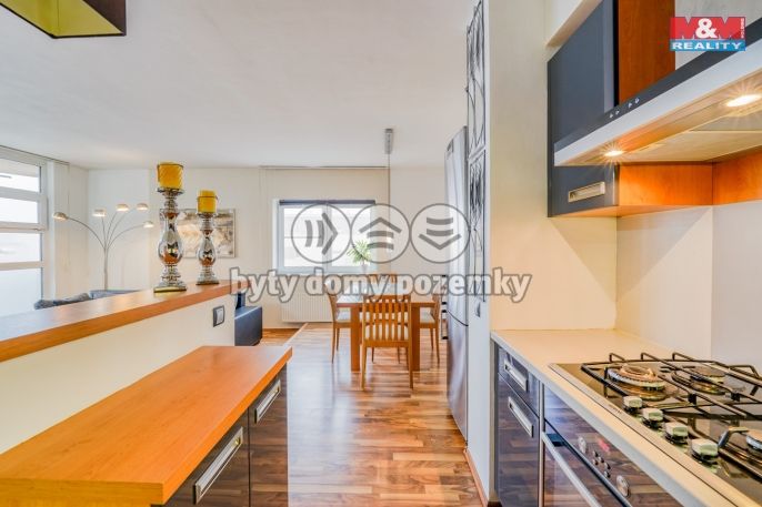 Pronájem, Byt 3+kk, Plzeň