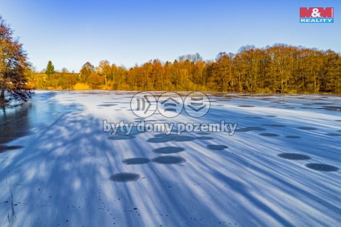 Prodej, Vodní plocha, Studená