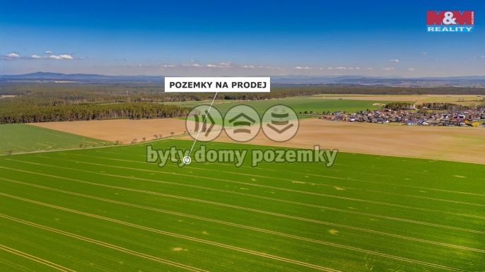 Prodej, Pole, Čistá