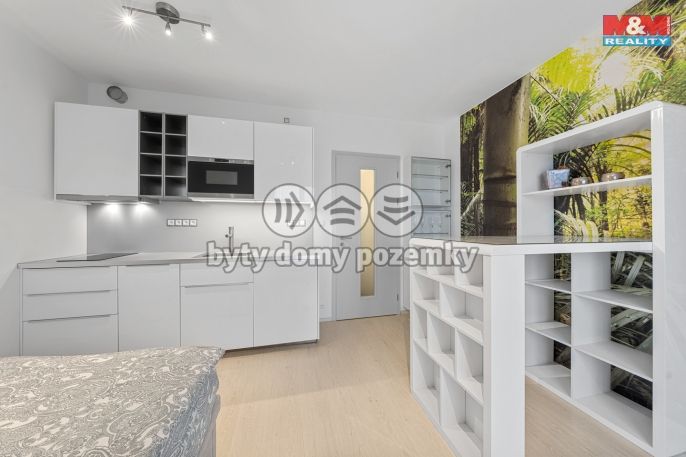 Prodej, Byt 1+kk, Praha