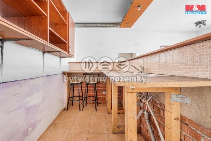 Prodej, Nájemní dům, Mladá Boleslav