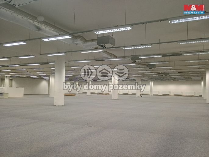 Pronájem, Obchod a služby, Děčín