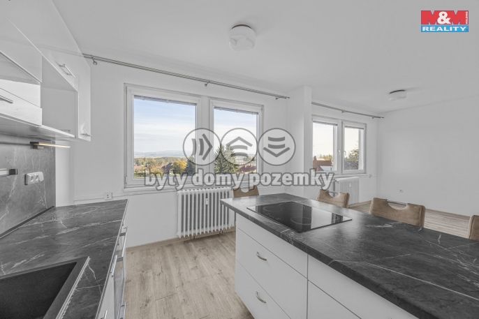 Pronájem, Byt 1+kk, Opočno