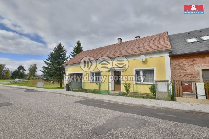 Pronájem, Rodinný dům, Mlázovice