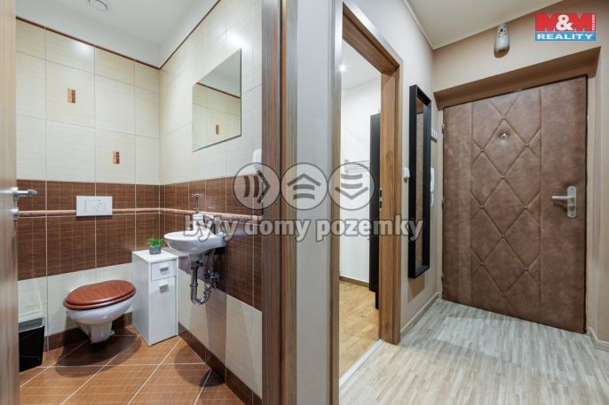 Pronájem, Byt 3+kk, Březová