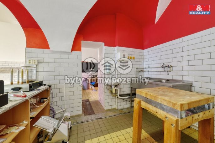 Pronájem, Obchod a služby, Planá