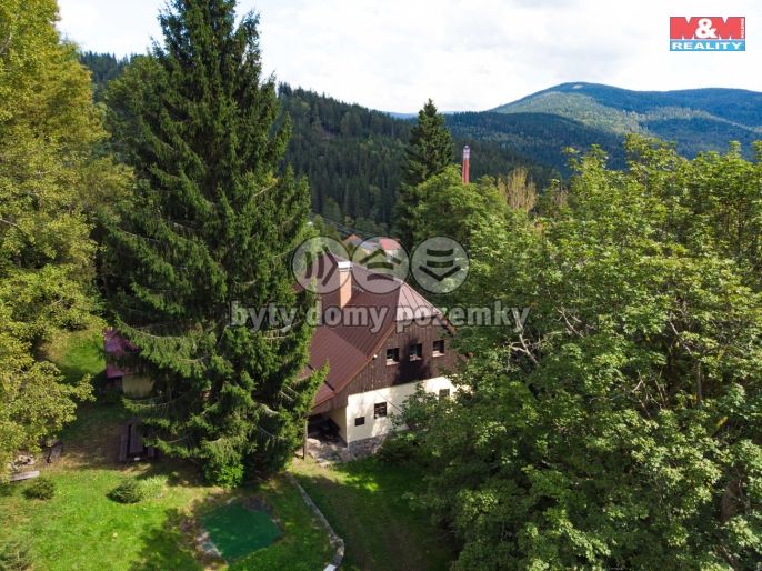 Prodej, Hotel, penzion, Kořenov