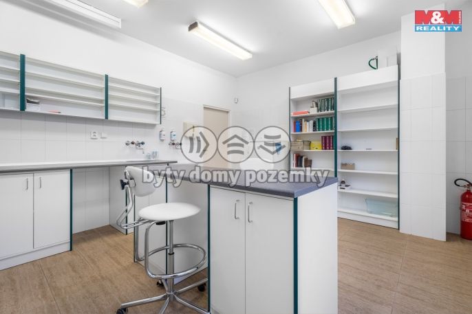 Pronájem, Ostatní, Ústí nad Labem