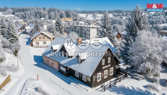 Prodej, Hotel, penzion, Rokytnice nad Jizerou