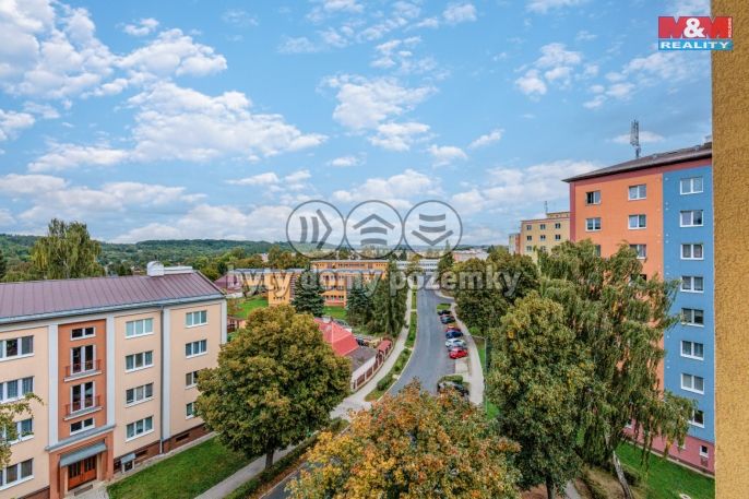 Prodej, Byt 3+1, Nová Role