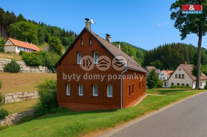 Pronájem, Byt 1+1, Janov nad Nisou