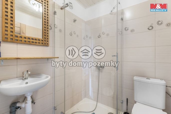Prodej, Hotel, penzion, Ostružno