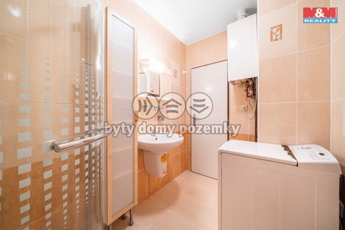 Pronájem, Byt 1+1, Praskolesy