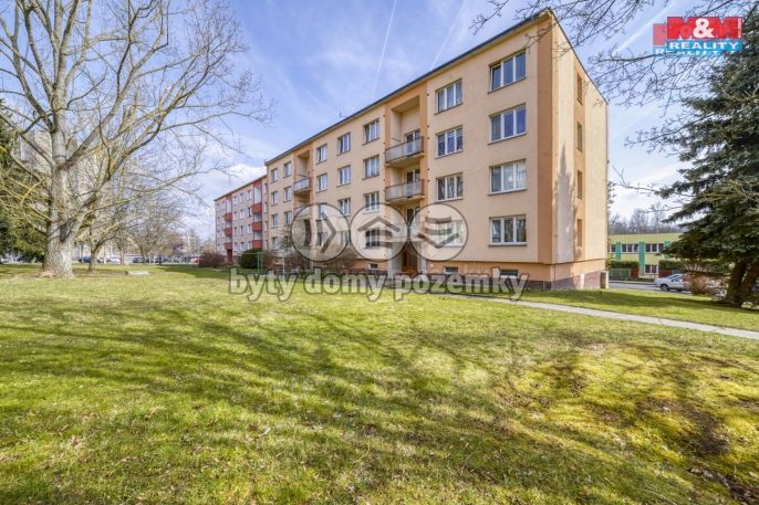 Prodej, Byt 1+1, Cheb