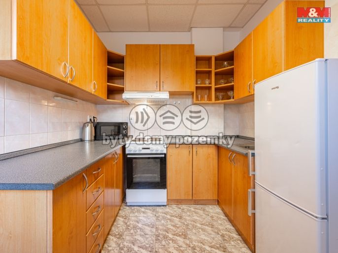 Pronájem, Ostatní, Divišov