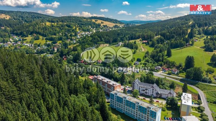 Prodej, Byt 1+kk, Jiřetín pod Bukovou