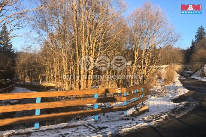 Prodej, Vodní plocha, Železná Ruda