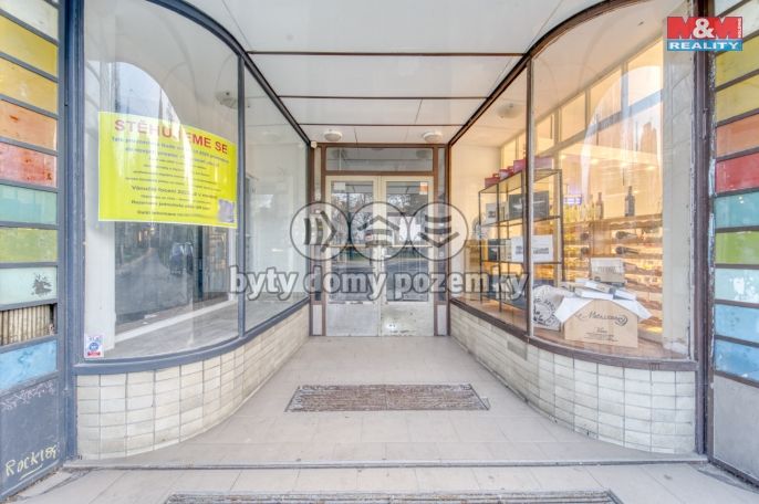 Pronájem, Byt 1+kk, Plzeň