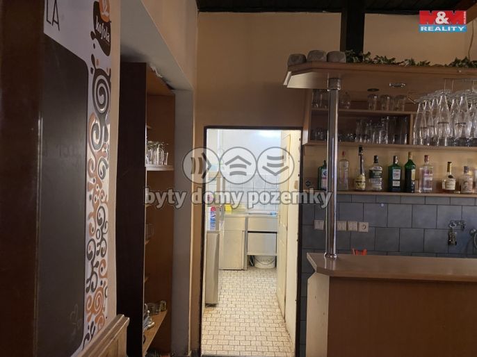 Pronájem, Obchod a služby, Opočno