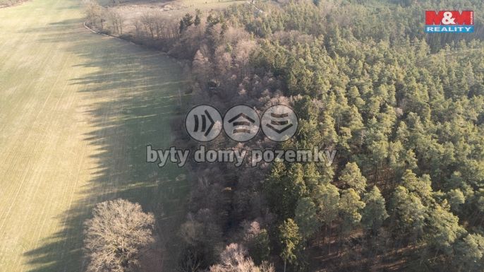 Prodej, Les, Týniště nad Orlicí