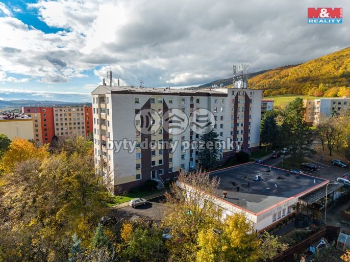 Prodej, Byt 1+kk, Chlumec