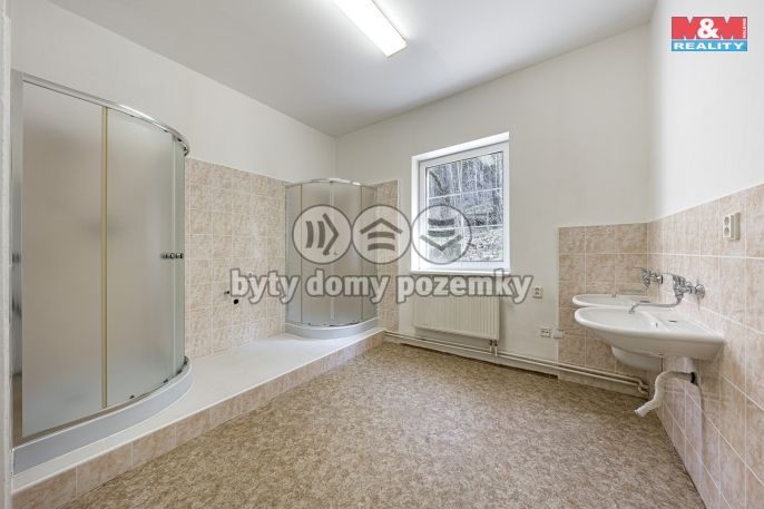 Prodej, Hotel, penzion, Petrovice