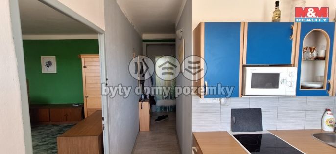 Prodej, Byt 1+1, Slapy