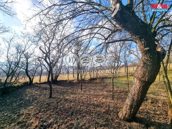 Prodej, Rodinný dům, Malá Vrbka