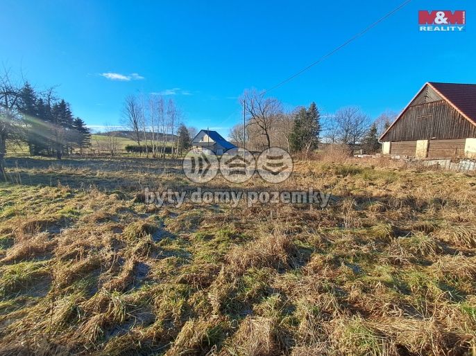 Prodej, Rodinný dům, Nové Město pod Smrkem