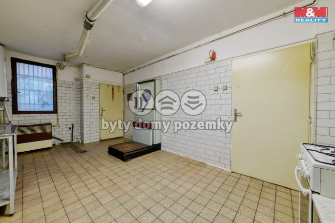 Pronájem, Obchod a služby, Planá