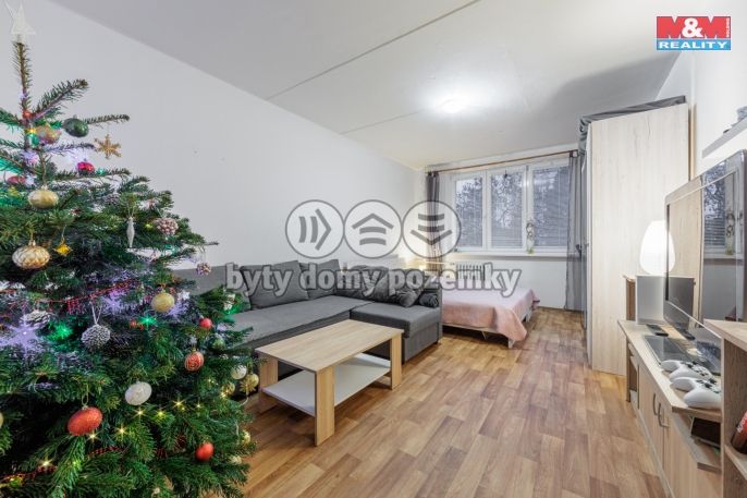 Pronájem, Byt 2+1, Chodov