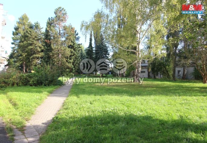 Pronájem, Byt 2+1, Česká Lípa