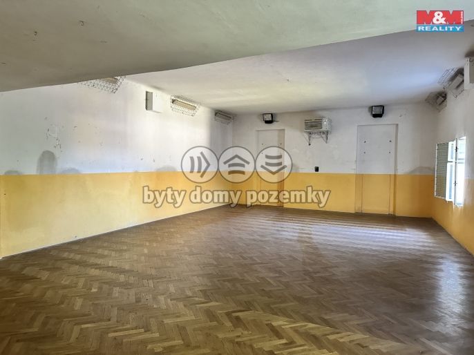 Pronájem, Ostatní, Dražice