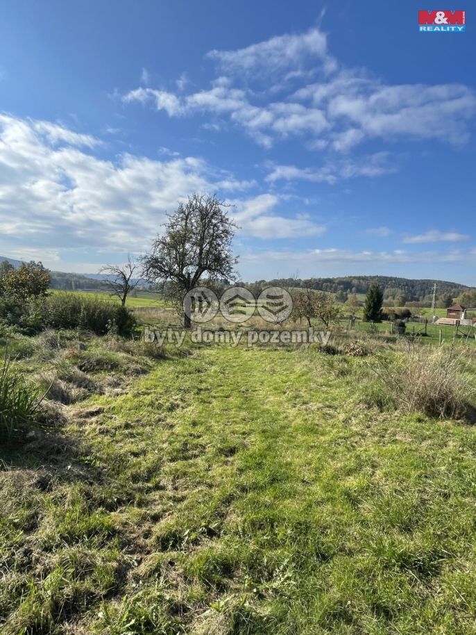 Pronájem, Rodinný dům, Kámen