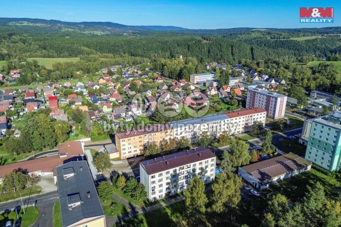 Prodej, Byt 3+1, Rotava