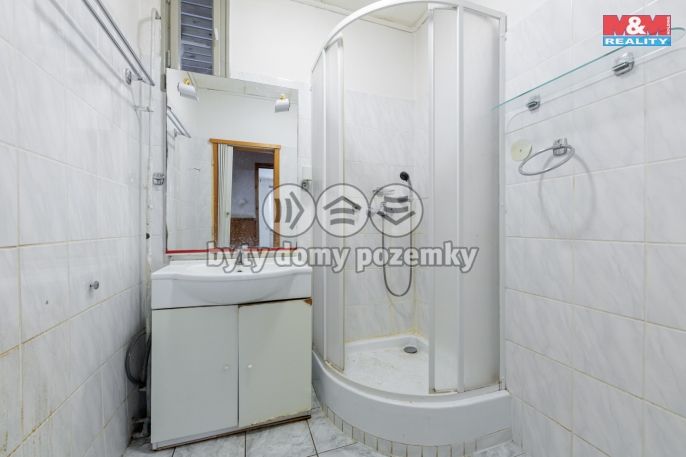 Prodej, Byt 2+1, Ostrov