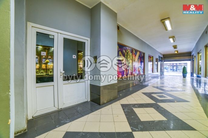 Pronájem, Byt 1+kk, Cheb