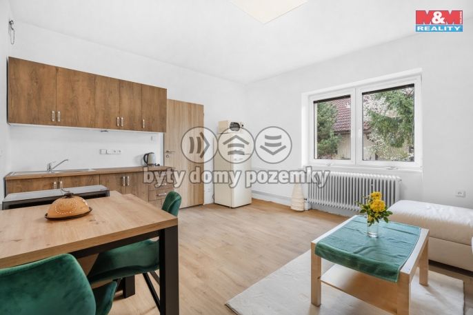 Pronájem, Byt 1+kk, Plazy