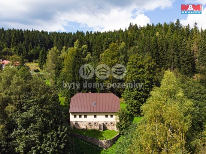 Prodej, Hotel, penzion, Kořenov