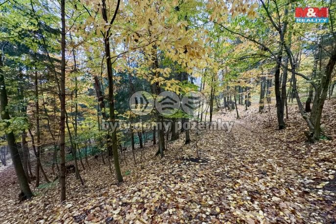 Prodej, Les, Jestřebí